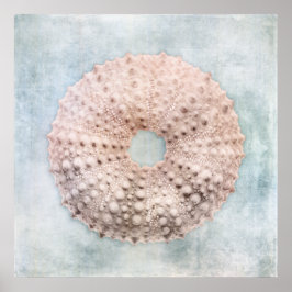 Poster Pintura de Creme Azul Costeiro em Descanso