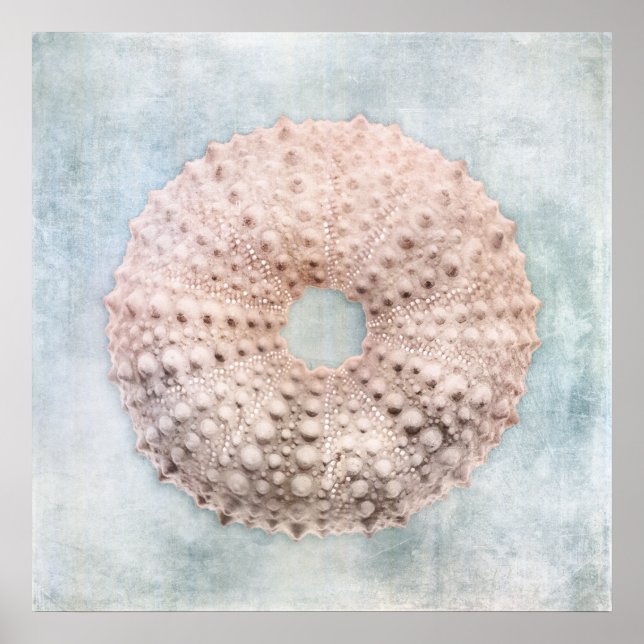 Poster Pintura de Creme Azul Costeiro em Descanso (Frente)