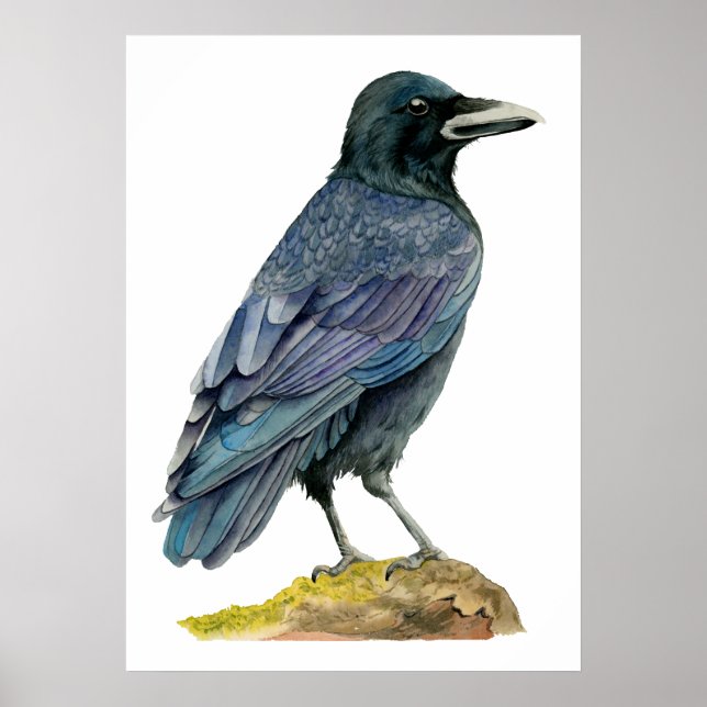 Poster Pintura de Crow Watercolor (Frente)