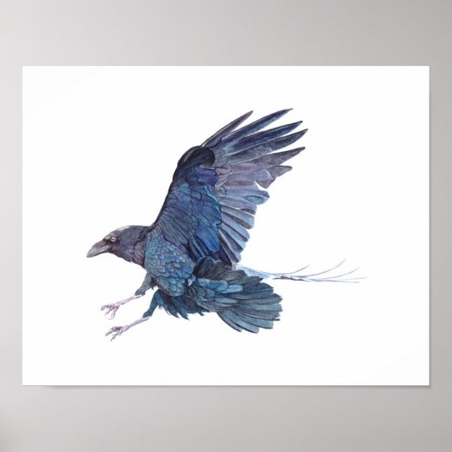 Pôster Pintura de Crow Watercolor (Frente)