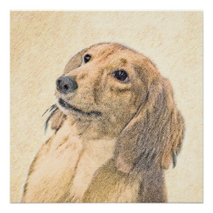 Pôster Pintura de Dachshund (Longhaired) - Arte de Cão O