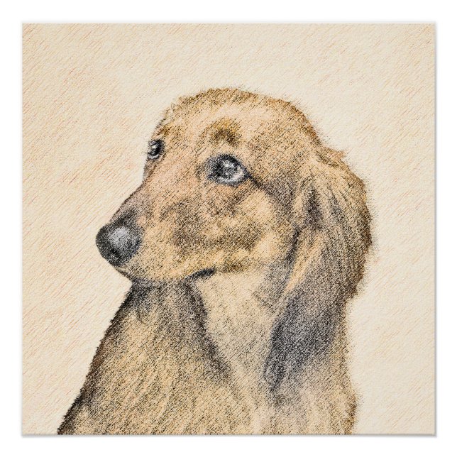 Pôster Pintura de Dachshund (Longhaired) - Arte de Cão Or (Frente)
