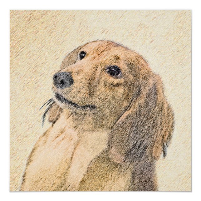 Pôster Pintura de Dachshund (Longhaired) - Arte de Cão Or (Frente)