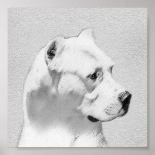 Pôster Pintura de Dogo Argentino - Arte de Cachorro Origi