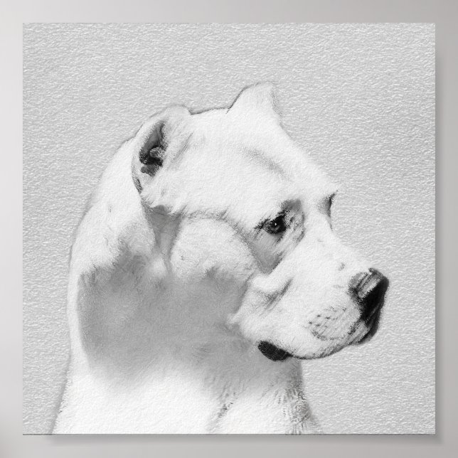 Pôster Pintura de Dogo Argentino - Arte de Cachorro Origi (Frente)