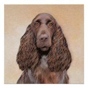Pôster Pintura de Espanhol de Campo - Arte de Cachorro Or