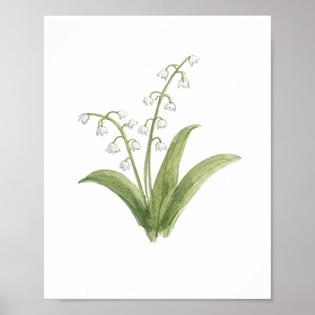 Poster Pintura de Flor de Lírio do Vale (Frente)