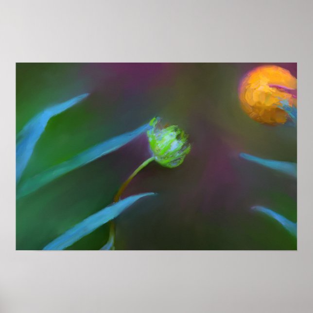 Poster - Pintura de Flor Selvagem Pequena e Pacífi (Frente)