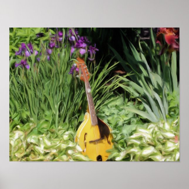 Pôster Pintura de Foto do Jardim Flor Mandolin Iris (Frente)