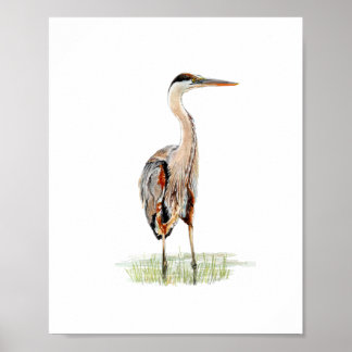 Poster Pintura de Garça em Aquarela