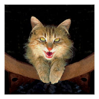 Pintura de Gatos Loucos - Arte de Gato Original Bo