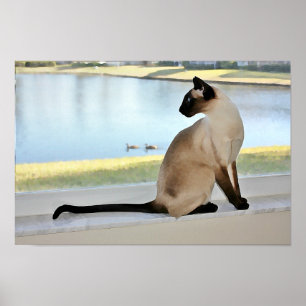Pôster Pintura de Gatos Siameses Pacíficos