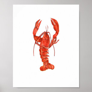 Poster Pintura de Lagosta Vermelha em Aquarela Arte de Pa