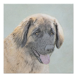 Pôster Pintura de Leonberger - Arte de Cachorro Original 