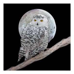 Pôster Pintura de Moon e Coruja Neve - Arte de Pássaro O