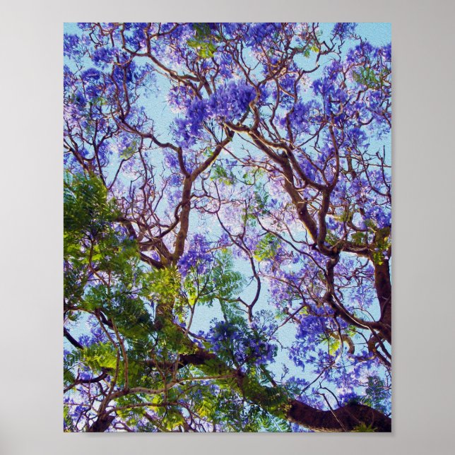 Poster Pintura De Óleo De Árvore Roxo Jacaranda, (Frente)