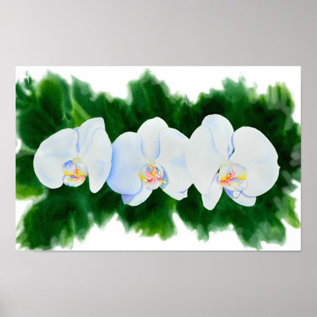 Poster Pintura de orquídea branca Elegante tropical (Frente)
