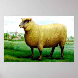 Poster Pintura de ovelhas