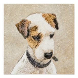 Pôster Pintura de Parson Jack Russell Terrier - Arte Cani