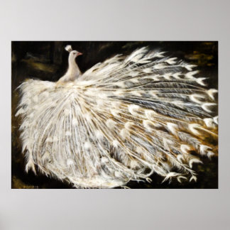 Pôster Pintura de Peacock Branco