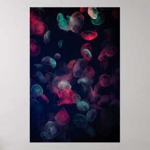 POSTER PINTURA DE PEIXE DE PEIXE DE COR ASSORTADA