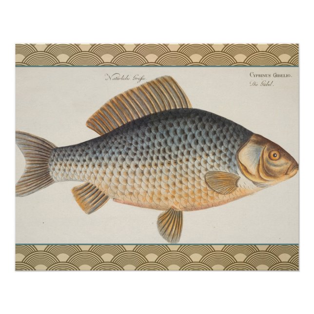 Pôster pintura de pesca de peixe carpa desenho de água do (Frente)
