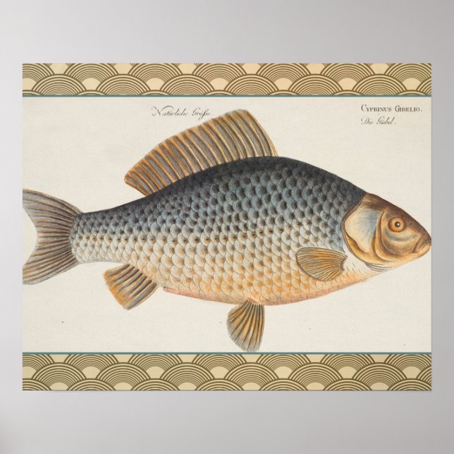 Pôster pintura de pesca de peixe carpa desenho de água do (Frente)