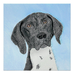 Pôster Pintura de ponteiro em branco alemão - Arte origin
