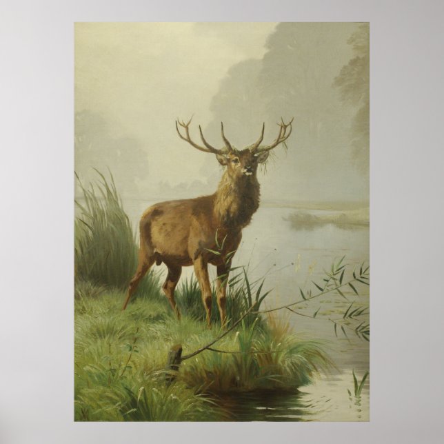 Poster pintura de Red Deer (Frente)