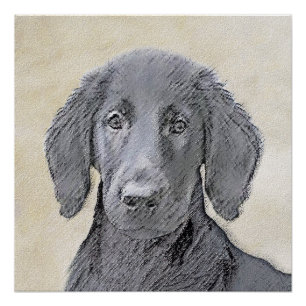 Pôster Pintura De Retriever Revestida Plana - Arte De Cã