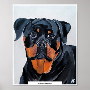 Poster Pintura de Rottweiler por Alfred Fox