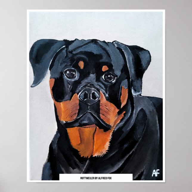 Poster Pintura de Rottweiler por Alfred Fox (Frente)