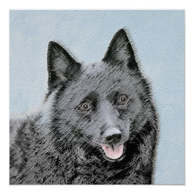 Pôster Pintura de Schipperke - Arte de Cachorro Original (Frente)