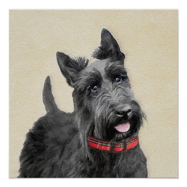 Pôster Pintura de Terrier escocês - Arte de cão original  (Frente)