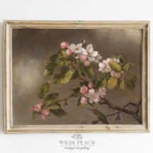 Pintura de Vintagem de Blossom de Hummingbird e Ma