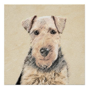 Pôster Pintura de Welsh Terrier - Arte de Cachorro Origin
