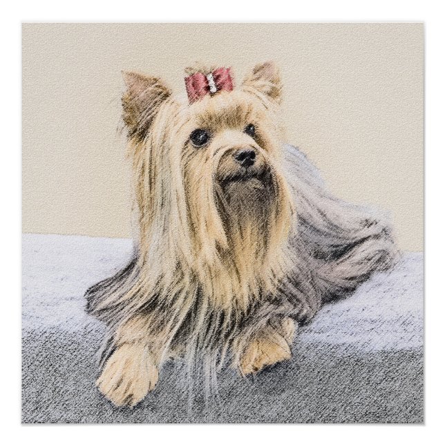 Pôster Pintura de Yorkshire Terrier - Arte de Cachorro Or (Frente)
