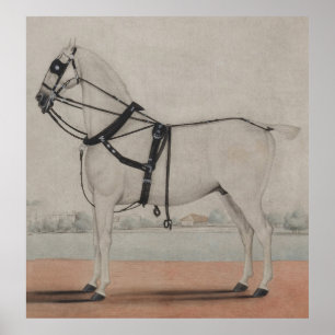 Poster Pintura do cavalo de carruagem do vintage (1845)