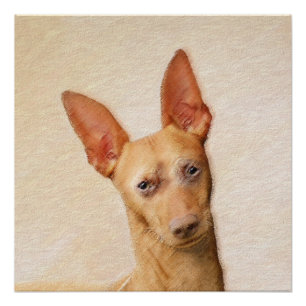 Pôster Pintura do Cirneco dell’Etna - Arte do Cachorro