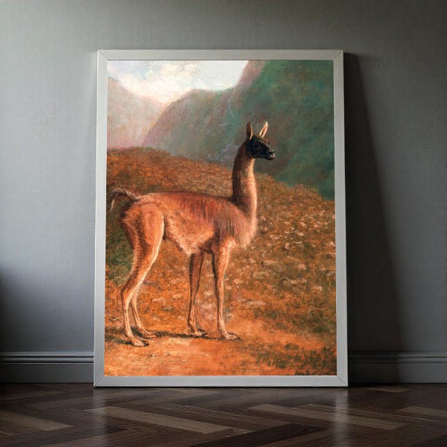Poster Pintura do guanaco (cerca de 1848) por Jacques-Lau (Criador carregado)