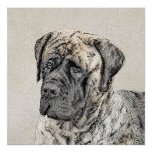 Pôster Pintura do Mastiff Inglês (Brindle) - Arte Canina