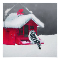 Pintura do Pica-Pau Downy - Arte Original