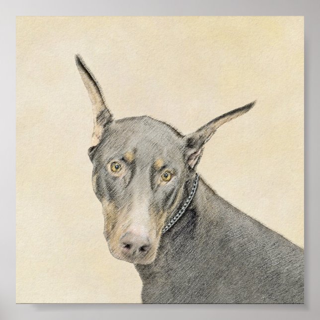 Pôster Pintura Doberman Pinscher - Arte Original para Cac (Frente)