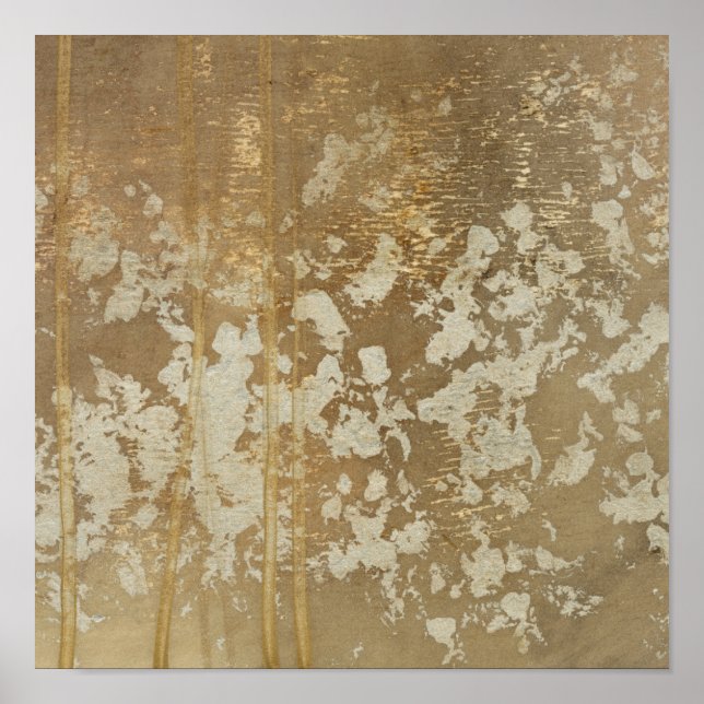 Pôster Pintura Dourada abstrato com Espectro de Prata (Frente)