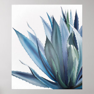 Poster Pintura em acrílico agave azul