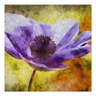 Pôster Pintura em acrílico da flor Mauve Anemone