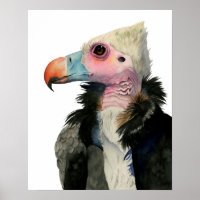 Pintura em Aquarela Abutre