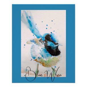 Pôster Pintura em Aquarela de Cardeal Azul Australiano
