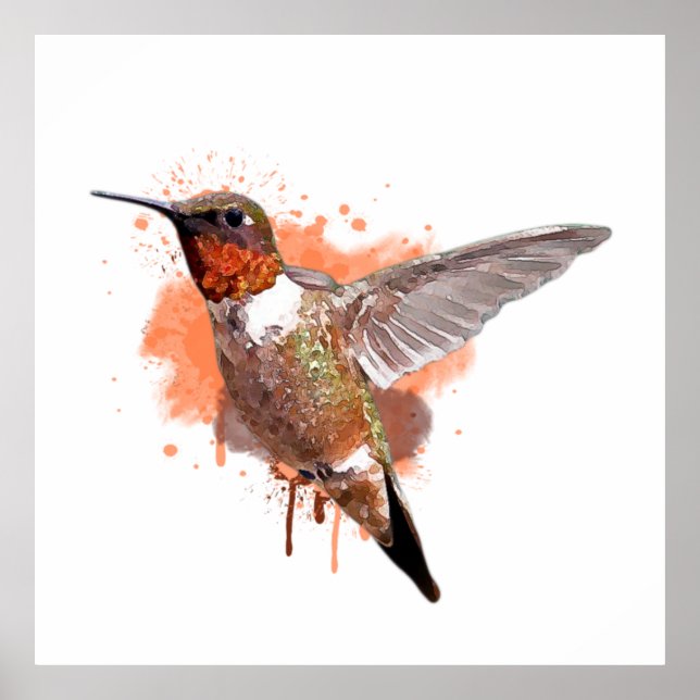 Poster Pintura em Aquarela de Hummingbird (Frente)