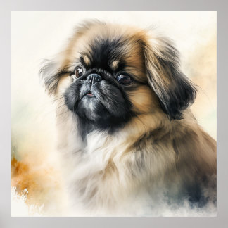 Poster Pintura em Aquarela de Pekingese Cuja Cãozinha